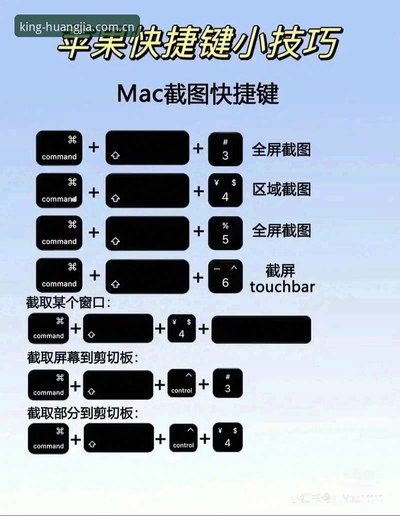 皇家国际平台使用教程：新手快速上手指南